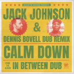 JACK JOHNSON - CALM DOWN - Reggae Tastemaker