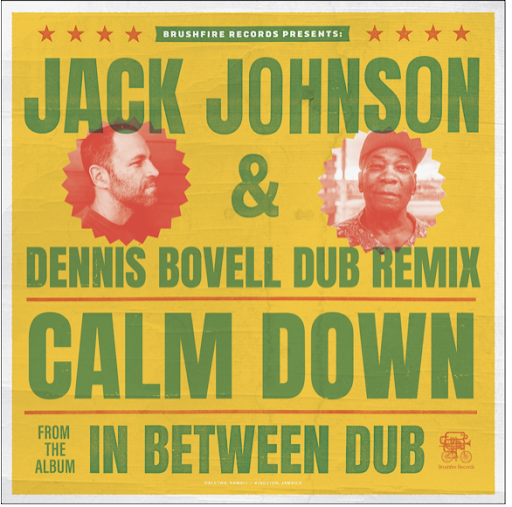 JACK JOHNSON - CALM DOWN - Reggae Tastemaker