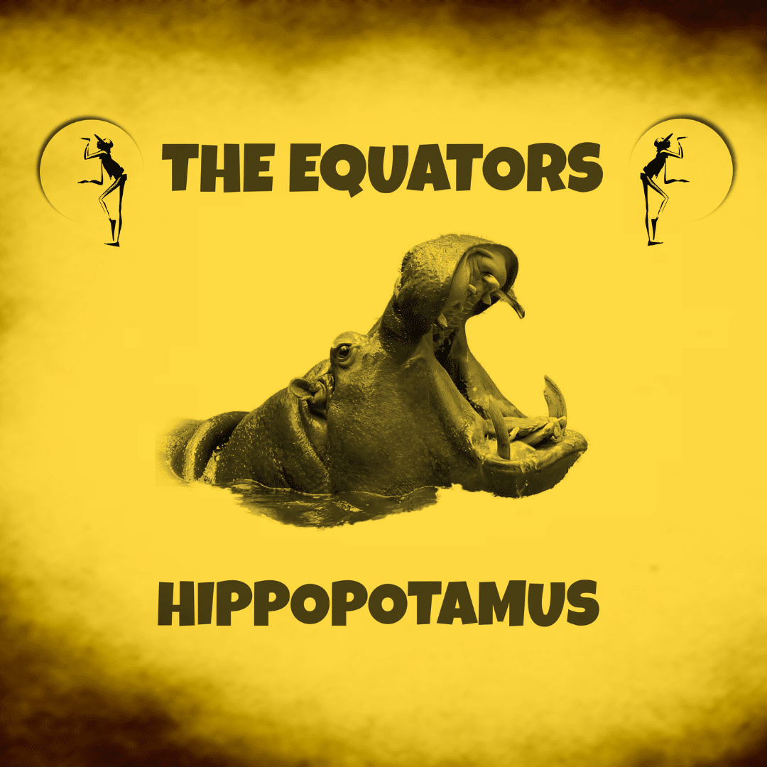 THE EQUATORS | HIPPOPOTAMUS