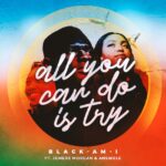 BLACK AM I - All you can do is try - Reggae Tastemaker
