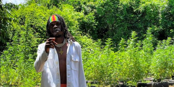 Imeru Tafari is a noteworthy reggae artist with a musical lineage that is genuinely remarkable. He is the son of a reggae superstar, Queen Ifrica, and the grandson of a genre legend Derrick Morgan, a heritage that has undoubtedly influenced his music. Reggae Tastemaker