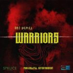 ROI DEMEL – WARRIORS - Reggae Tastemaker