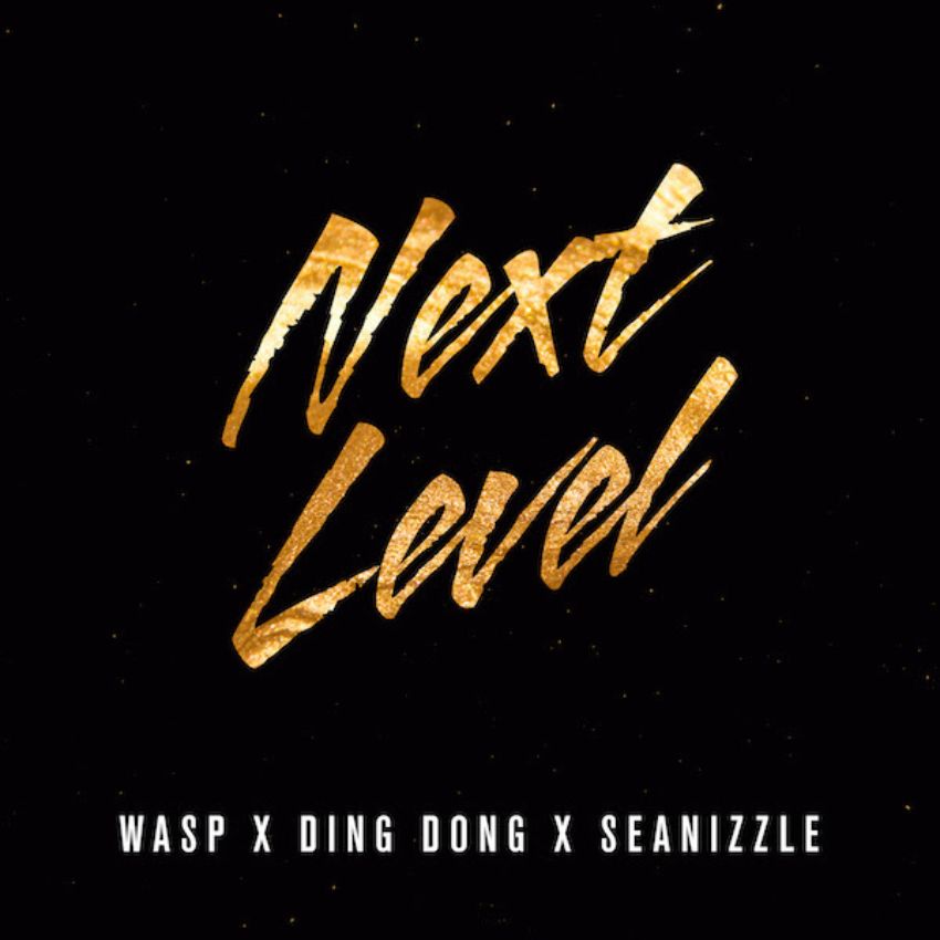 Feel the ‘Next Level’ Vibe from Ding Dong, Wasp and Seanizzle. Reggae Tastemaker