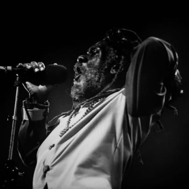Electric Dread: Winston McAnuff sparks across roots and time. Reggae Tastemaker