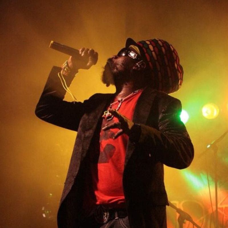 Tad’s Record’s Reggae Virus Riddim Remix is a sonic prescription for the soul. Reggae Tastemaker