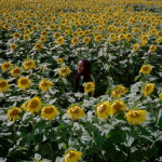 Rising artist Nesta shakes up lovers rock with the soulful EP ‘Your Love Alone’. Reggae Tastemaker