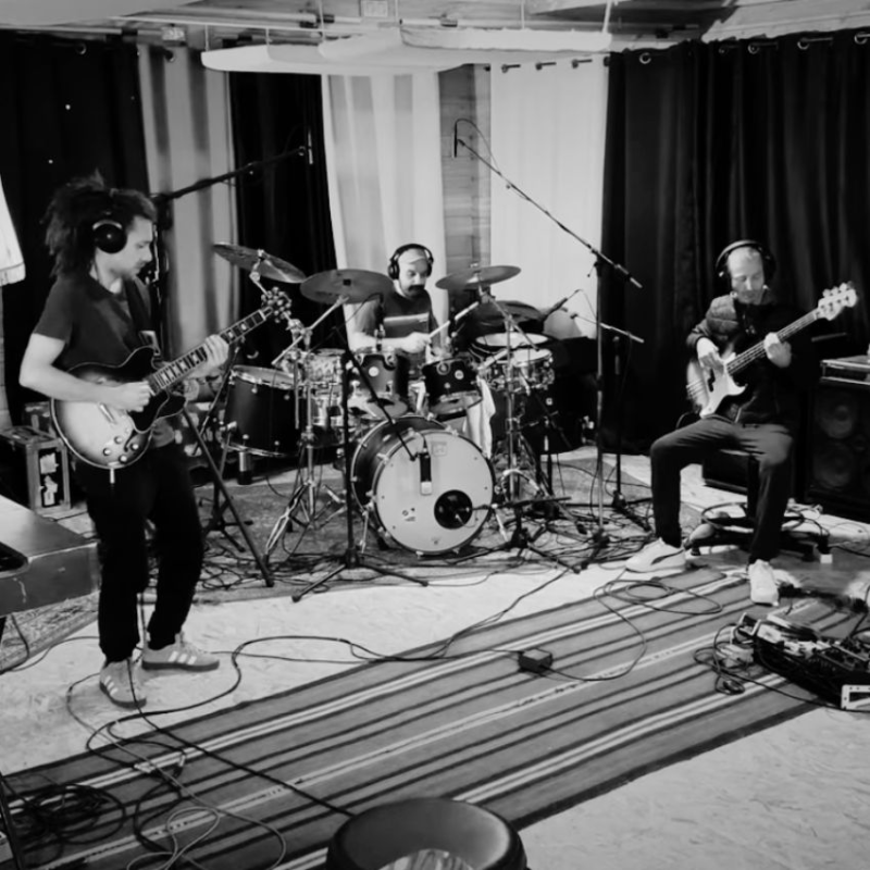 Taj Weekes & The Ligerians Calculate The Economy of Generosity. Reggae Tastemaker