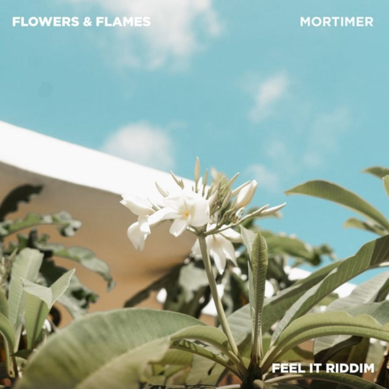 Rising reggae star Mortimer delivers stunning visualiser for ‘Flowers and Flames’. Reggae Tastemaker