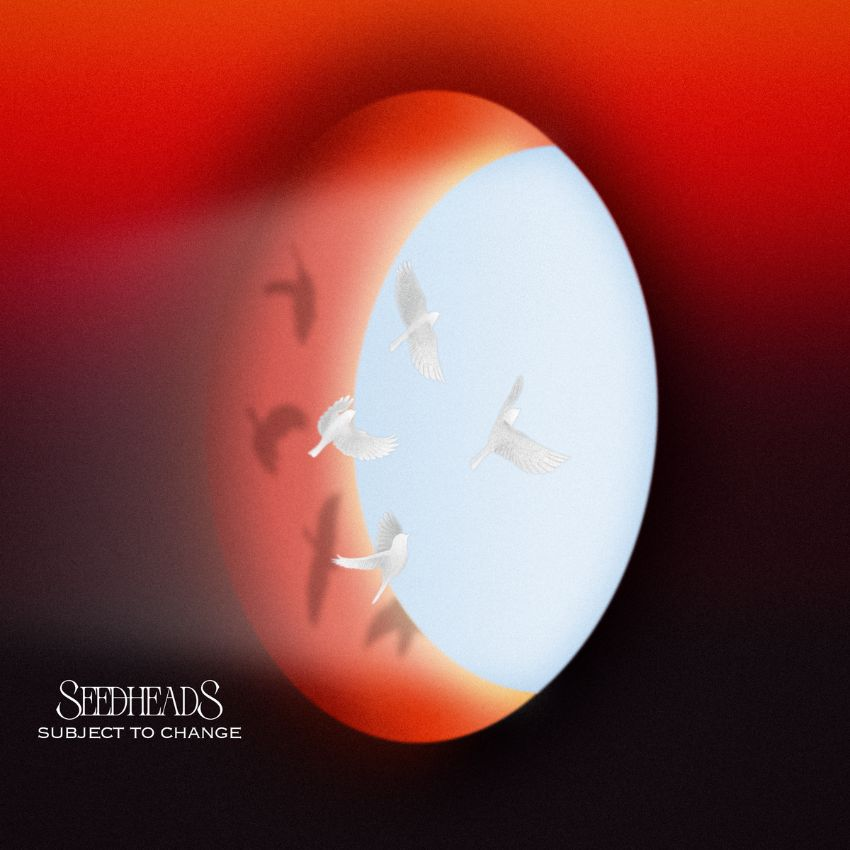 Seedheads: Meet the San Diego quartet bringing West Coast reggae into a new era. Reggae Tastemaker